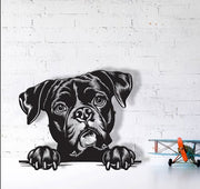 Chien – 15 po